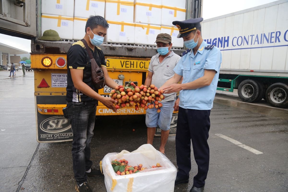  Các doanh nghiệp tại Lào Cai đã xuất khẩu được một số mặt hàng nông sản sang thị trường Trung Quốc.