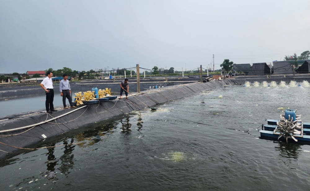 Hà Tĩnh: Ngân hàng nỗ lực “bơm” vốn cho nền kinh tế.