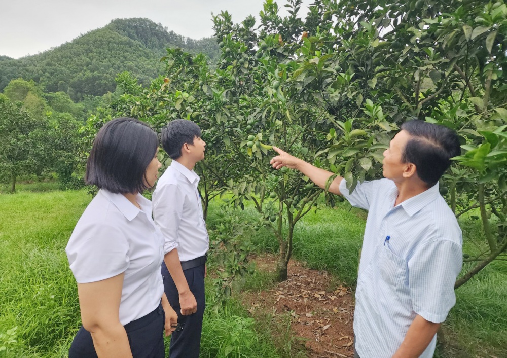 các TCTD tăng trưởng tín dụng an toàn, hiệu quả, tập trung vào các lĩnh vực sản xuất, lĩnh vực ưu tiên theo chủ trương của Chính phủ và các dự án trọng điểm ở địa phương.