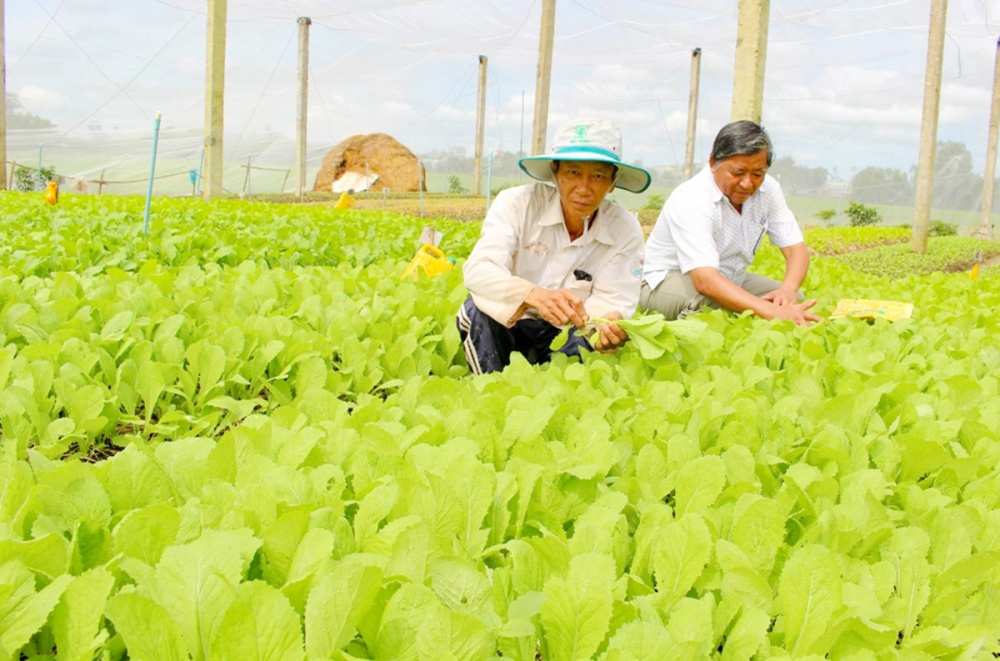 Đồng Nai muốn đưa doanh thu của kinh tế tập thể lên hơn 16 tỷ đồng/năm