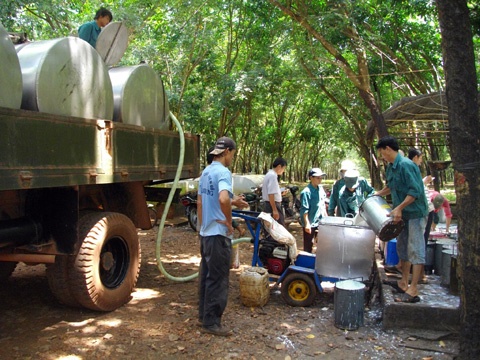 Với sự nỗ lực của ngành Ngân hàng tỉnh Gia Lai, hoạt động huy động vốn và tín dụng vẫn có sự tăng trưởng