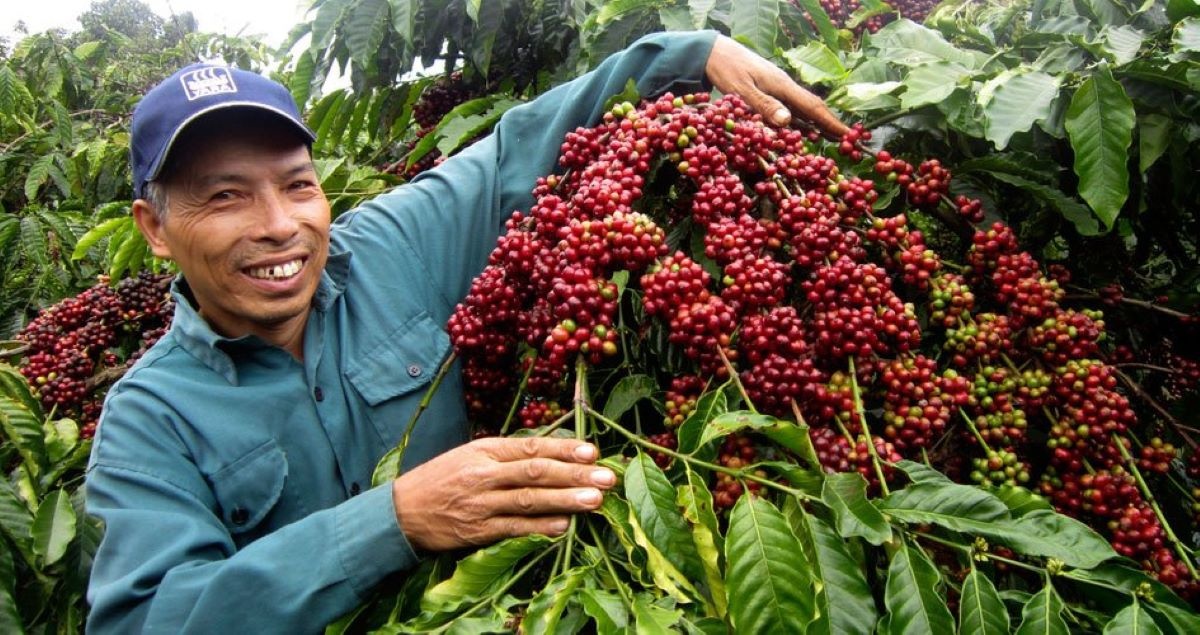 Kim ngạch xuất khẩu các mặt hàng chủ lực của ngành đều cao hơn cùng kỳ năm ngoái.