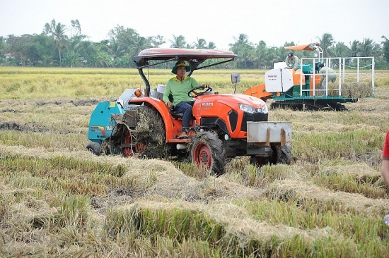 Sẵn sàng cho vay Đề án chuyên canh lúa vùng ĐBSCL