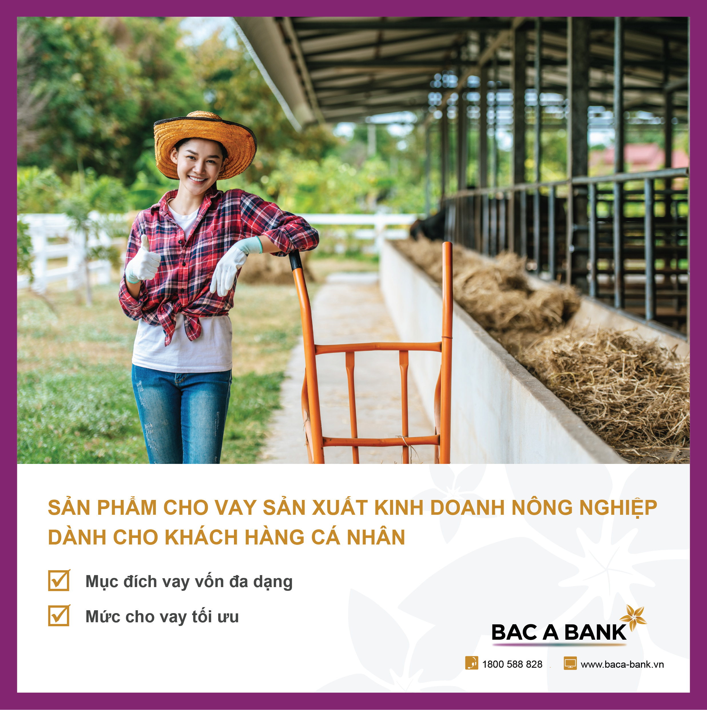 BAC A BANK cho vay phát triển nông nghiệp với hạn mức lên đến 10 tỷ đồng