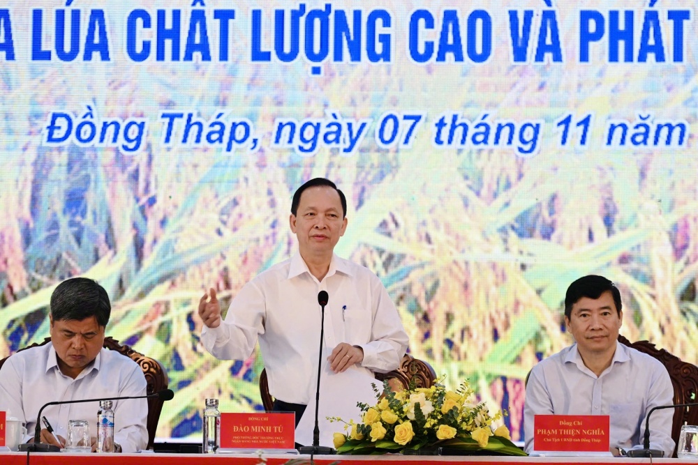 Sẵn sàng nguồn vốn ưu đãi thực hiện Đề án một triệu ha lúa chất lượng cao và phát thải thấp vùng ĐBSCL