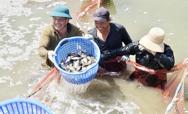 “Hơi thở” của Chỉ thị số 40 nhìn từ thành phố đáng sống (Bài 1)