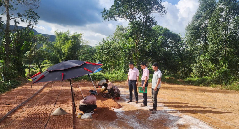 Mô hình vay vốn tín dụng chính sách đầu tư vươm ươm cây giống ở Ba Tơ.