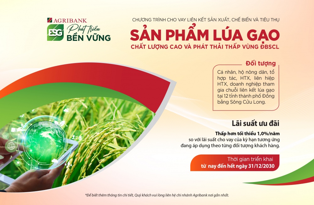 Agribank triển khai cho vay liên kết lúa gạo chất lượng cao và phát thải thấp vùng ĐBSCL