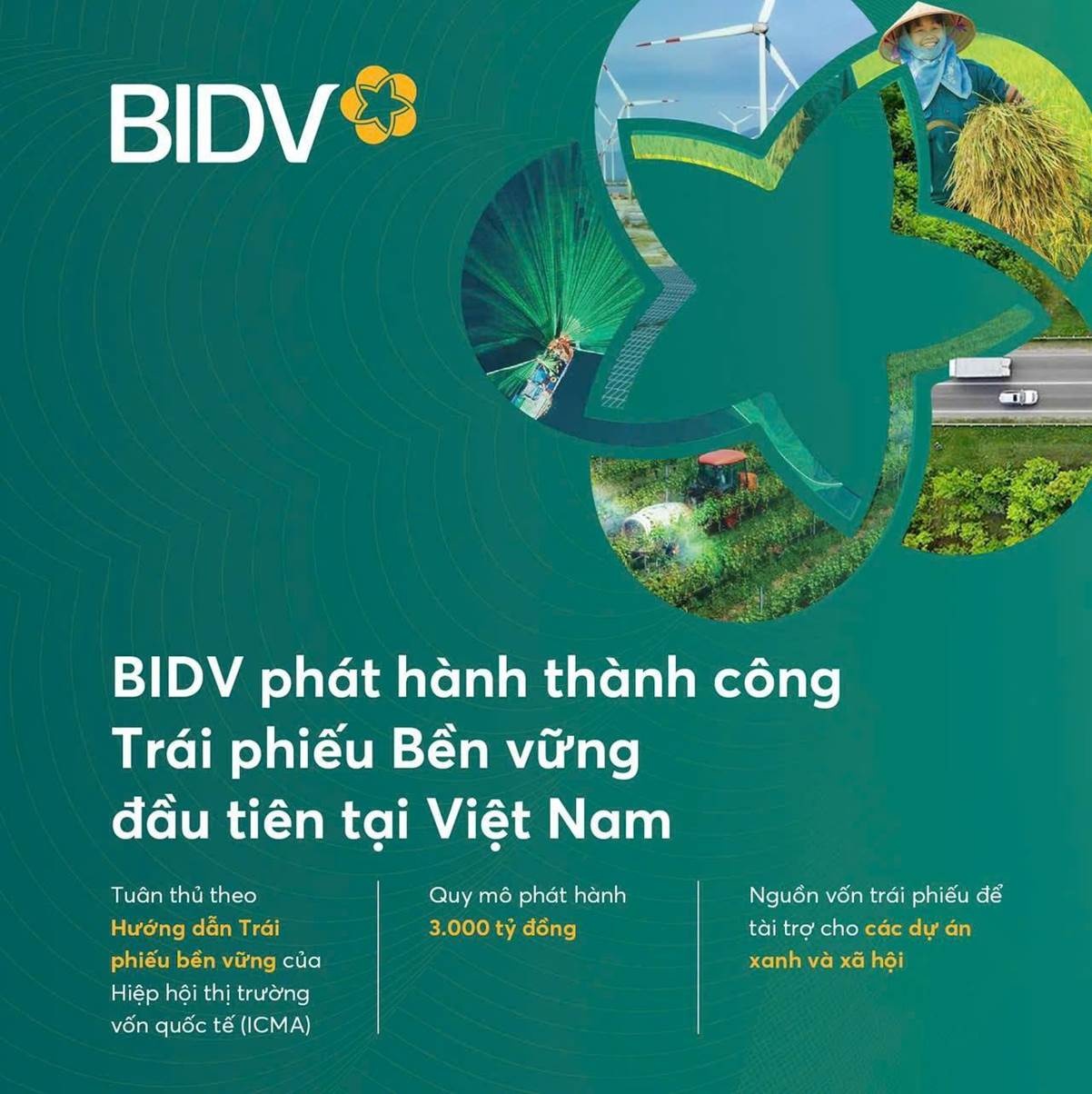 BIDVRun Tết ấm cho người nghèo 2024 Mùa 6