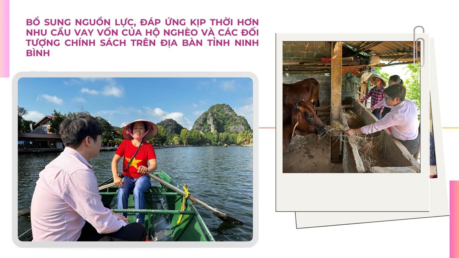 https://cdn.thoibaonganhang.vn/stores/news_dataimages/2024/122024/06/16/thoi-bung-y-chi-thoat-ngheo-o-co-do-ninh-binh-bai-1-20241206162709.jpg?rt=20241206162849