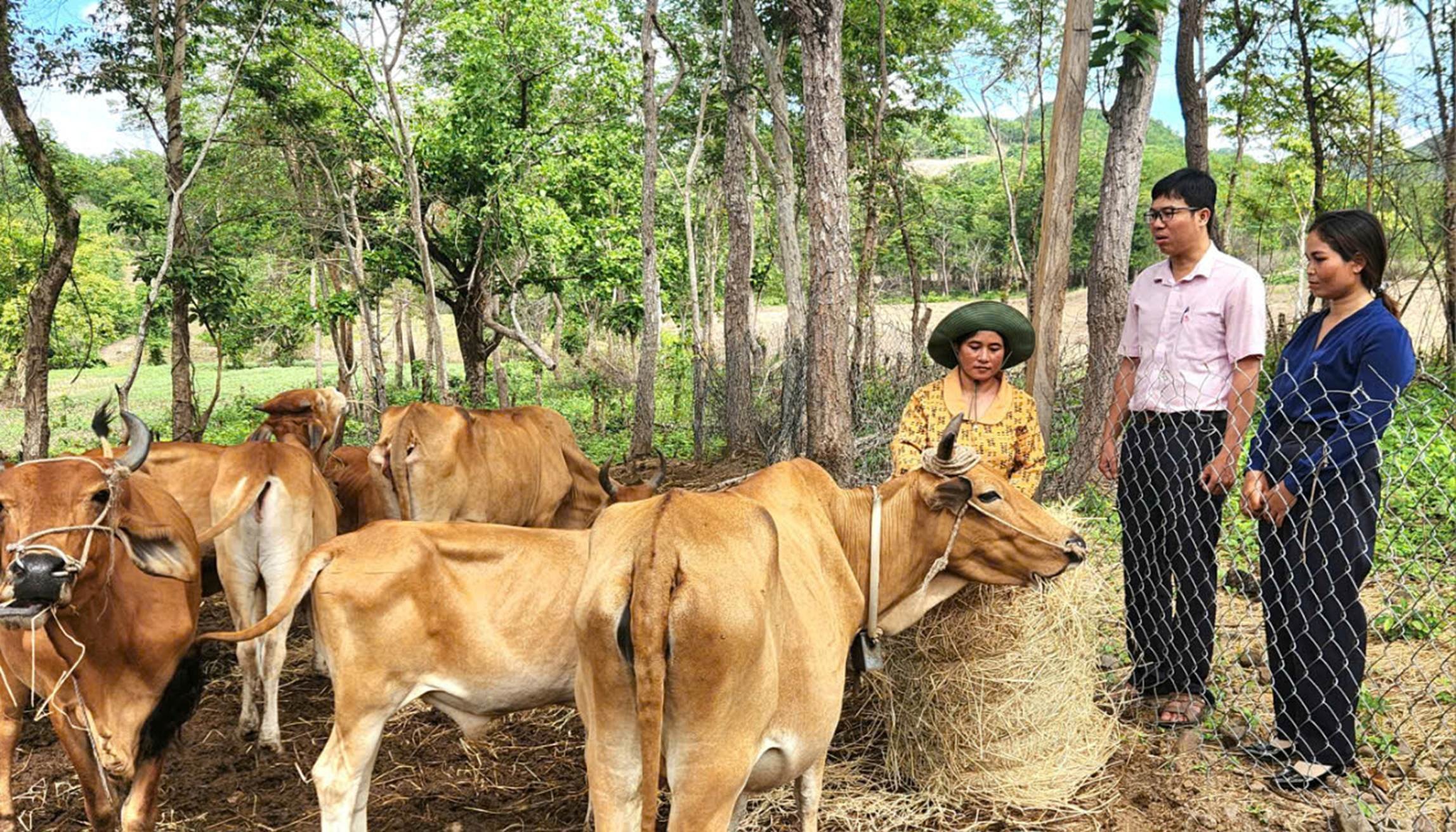 Chị Pi Năng Thị Xuyến (ngoài cùng bên trái) ở thôn Do, xã Ma Nới, huyện Ninh Sơn đã vươn lên thoát nghèo nhờ tín dụng ưu đãi...