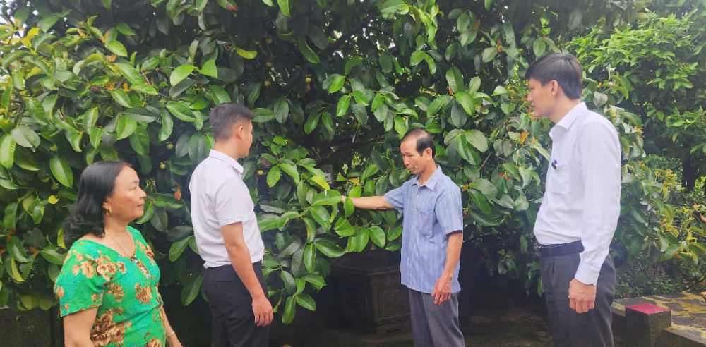 mô hình kinh tế vườn của ông Ngô Minh Hoà ở thôn Trà Lai, xã Tiên Mỹ