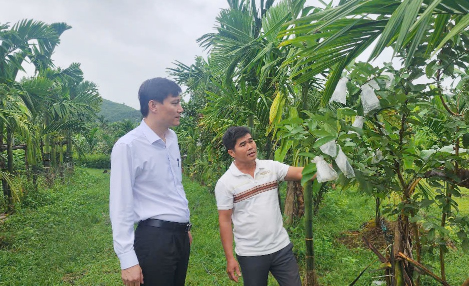 ông Lâm Quang Bình ở thôn 5, xã Tiên Hiệp, cũng là một trong những nông dân được hưởng lợi từ nguồn vốn vay của Agribank.