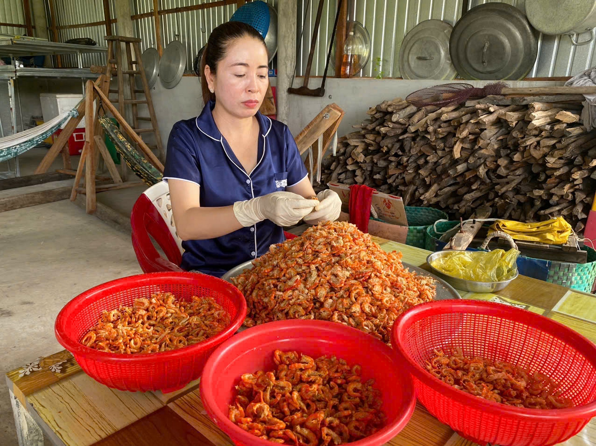 Chị Lê Thị Trúc Ly, Ấp Tân Phong B, xã Tạ An Khương Đông phát triển kinh tế từ nguồn vốn tín dụng chính sách