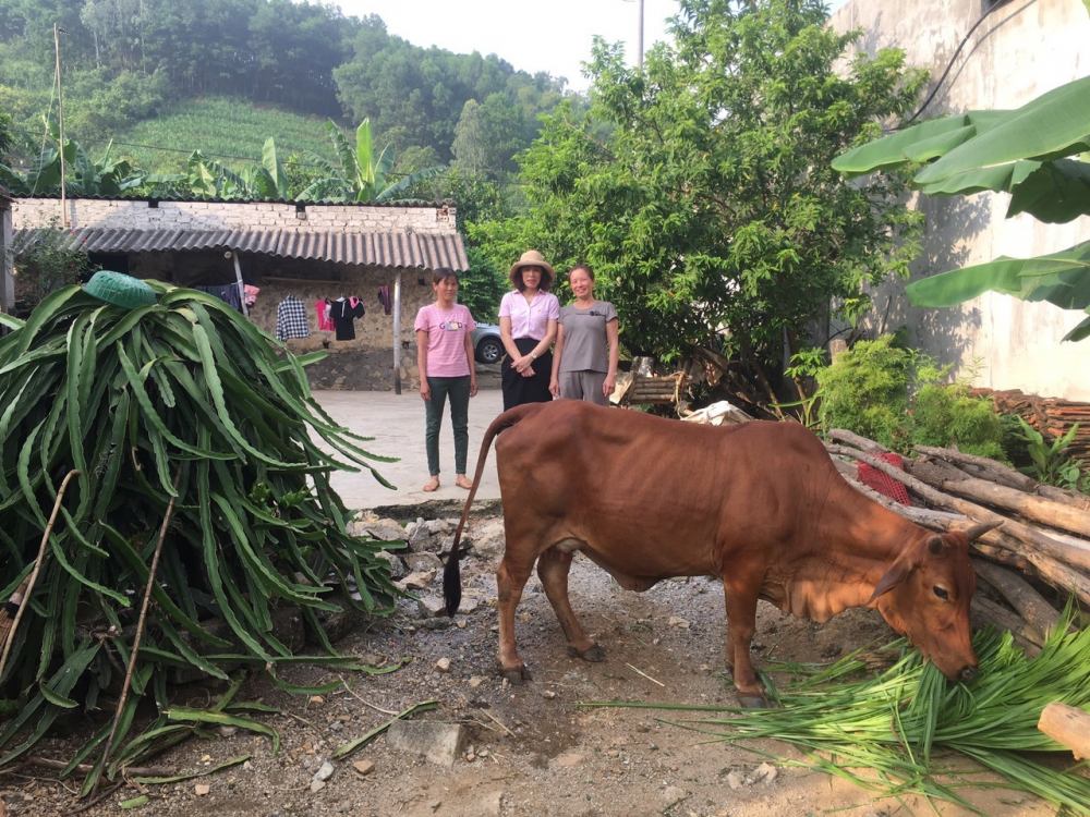 Nguồn vốn ưu đãi giúp cho gia đình chị Nguyễn Thị Huệ (áo cam) ở Thanh Bồng, Thanh Nghị phát triển kinh tế chăn nuôi, trồng trọt, cải thiện cuộc sống