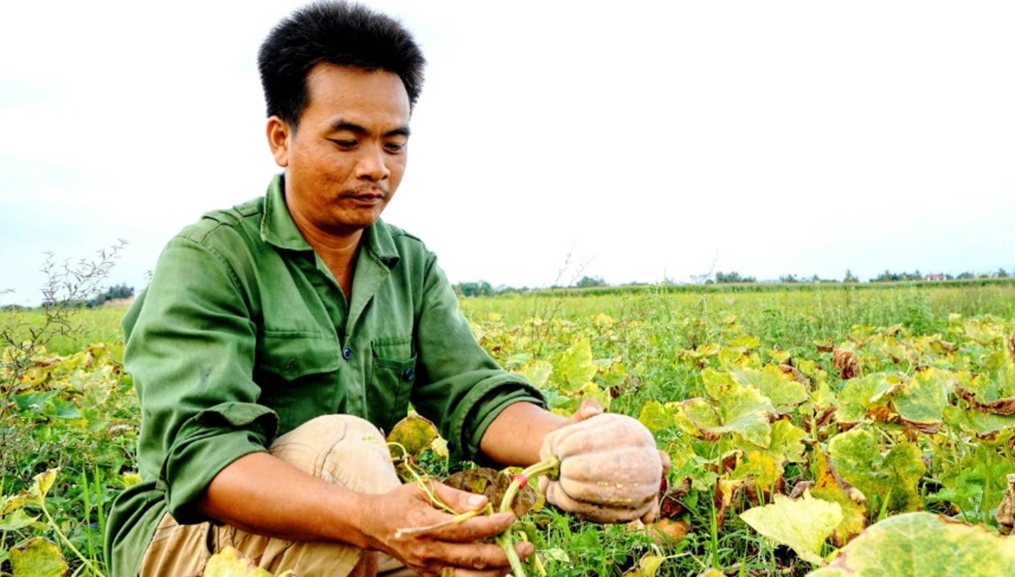 Nông dân xã Đắk Lua bên cạnh những thành quả chuyển đổi cây trồng từ nguồn vốn vay NHCSXH