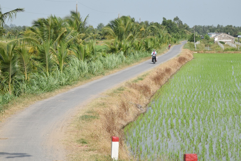 Những con đường NTM ở xã NTM Phước Hưng, huyện Trà Cú, tỉnh Trà Vinh