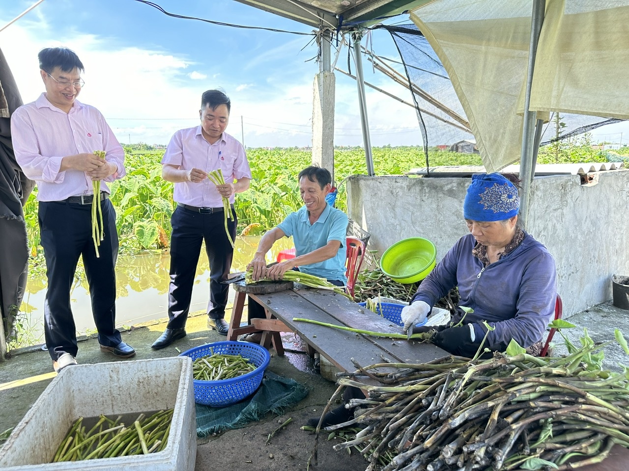 Nguồn vốn chính sách đã “thắp lửa” giúp anh Lã Phú Thuận (áo xanh), ở xóm 1, xã Khánh Thịnh, huyện Yên Mô khởi nghiệp thành công với mô hình nông nghiệp hữu cơ