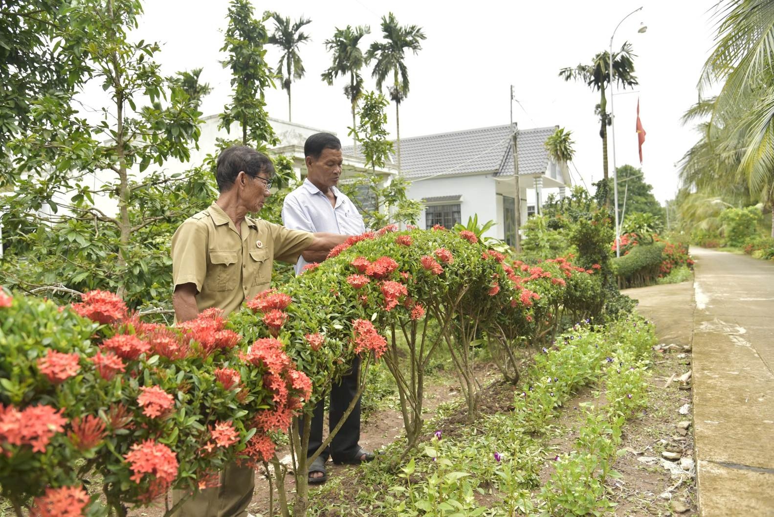 Người dân xã Đông Yên (An Biên) làm hàng rào cây xanh tạo mỹ quan nơi xóm ấp