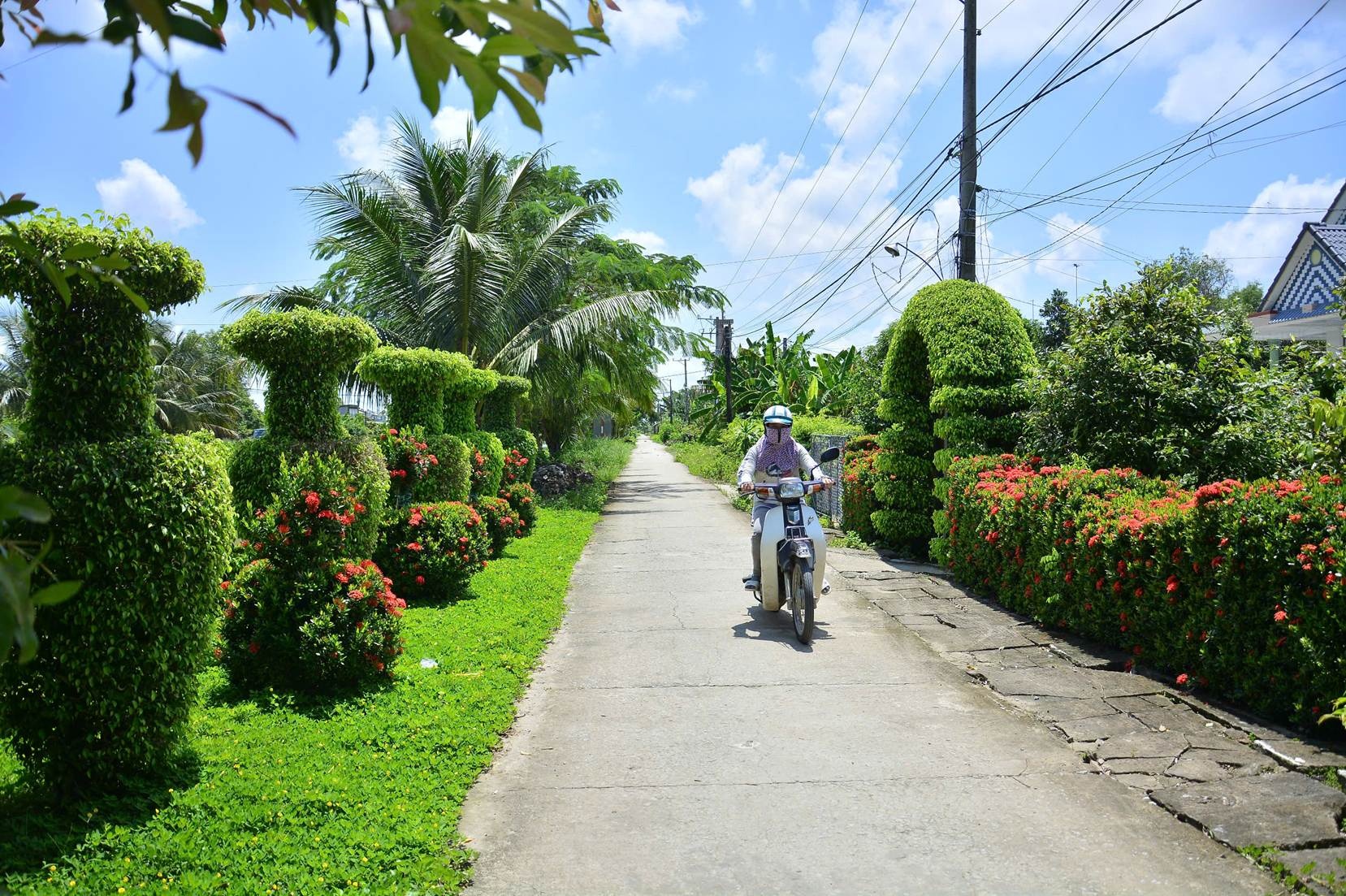 Nông thôn Kiên Giang xanh, sạch, đẹp