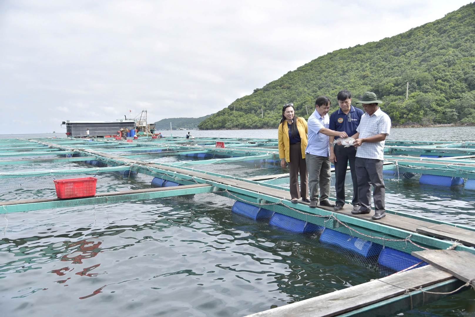 Chủ tịch Hội Nông dân tỉnh Kiên Giang Đỗ Trần Thịnh (thứ hai, từ phải qua) thăm mô hình nuôi cá lồng bè trên biển của ngư dân huyện Kiên Lương