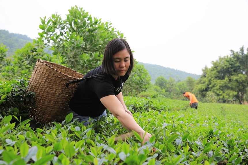 chị Bùi Thị Thu Huyền với công việc hàng ngày