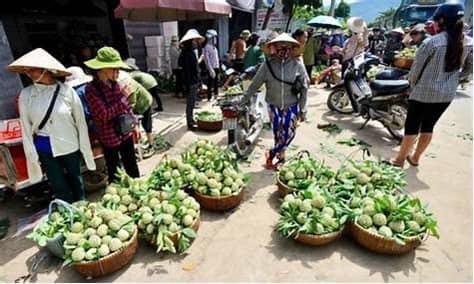 Chính sách mang ý Đảng, lòng dân