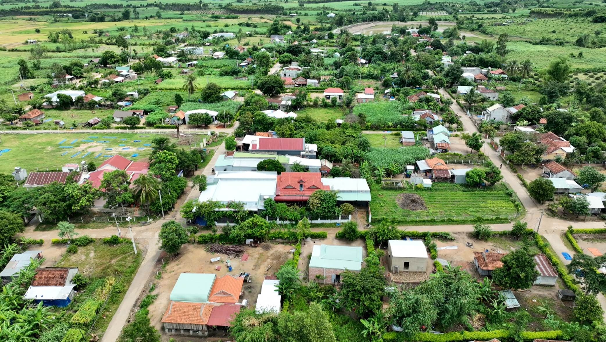 Yang Bắc, Đak Pơ hôm nay