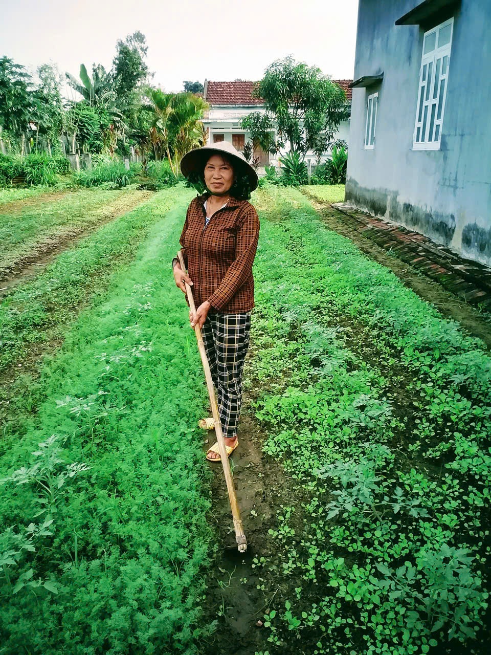 Về công tác phong trào xóa đói giảm nghèo