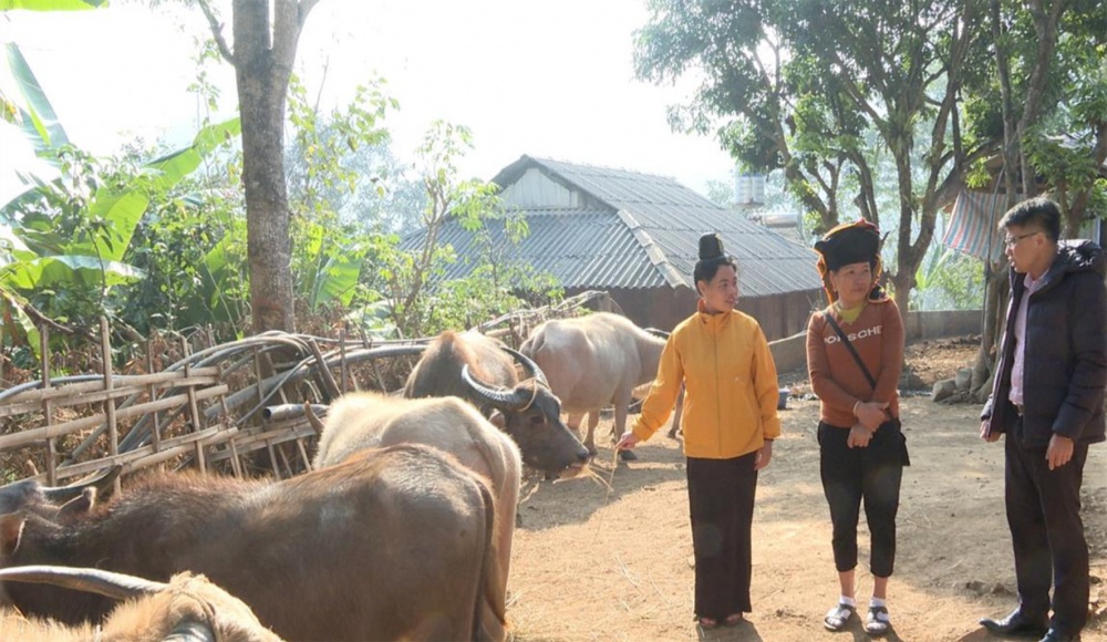 Mô hình vay vốn tín dụng chính sách tại bản Hiệu, xã Chiềng Sinh, huyện Tuần Giáo 