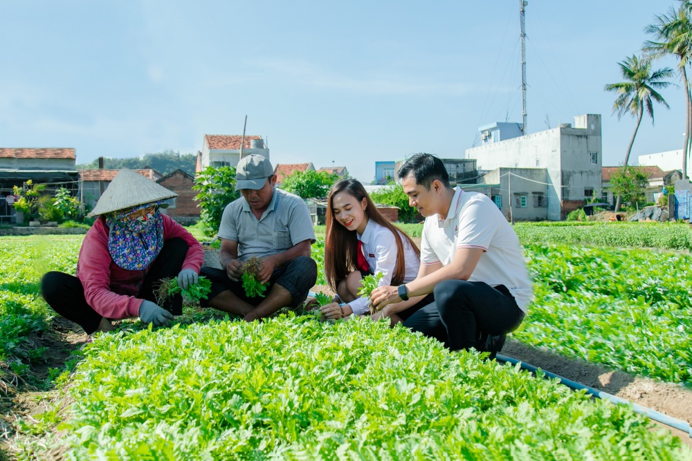 mạng lưới hoạt động ngân hàng ở Ph‎ú Yên ngày càng được mở rộng, đặc biệt là ở các vùng nông thôn, miền núi, vùng sâu, vùng xa 