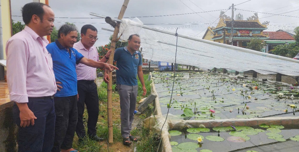 Quảng Nam đang tập trung nâng cao hiệu quả tín dụng chính sách xã hội trong giai đoạn mới.