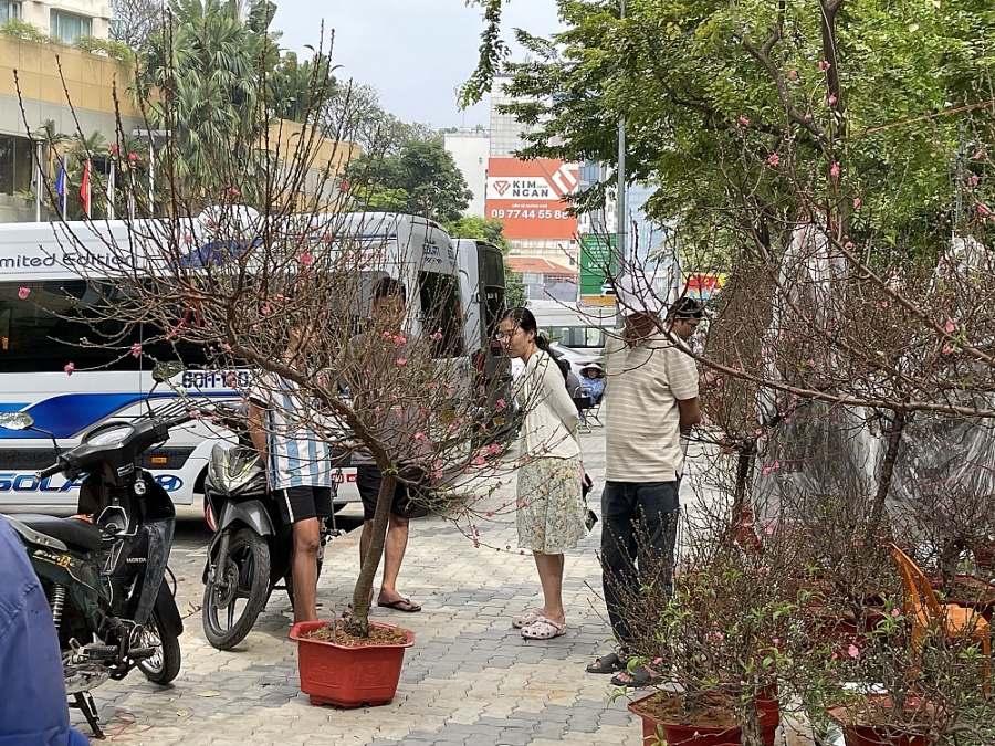 TP. Hồ Chí Minh: Chợ hoa Tết nhộn nhịp đón khách mua sắm