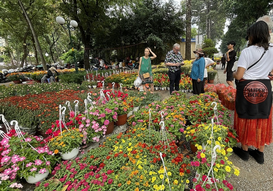 TP. Hồ Chí Minh: Chợ hoa Tết nhộn nhịp đón khách mua sắm