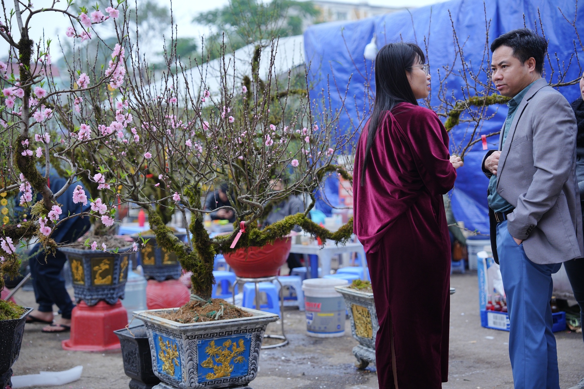 Chợ hoa xuân nhộn nhịp những ngày cận Tết