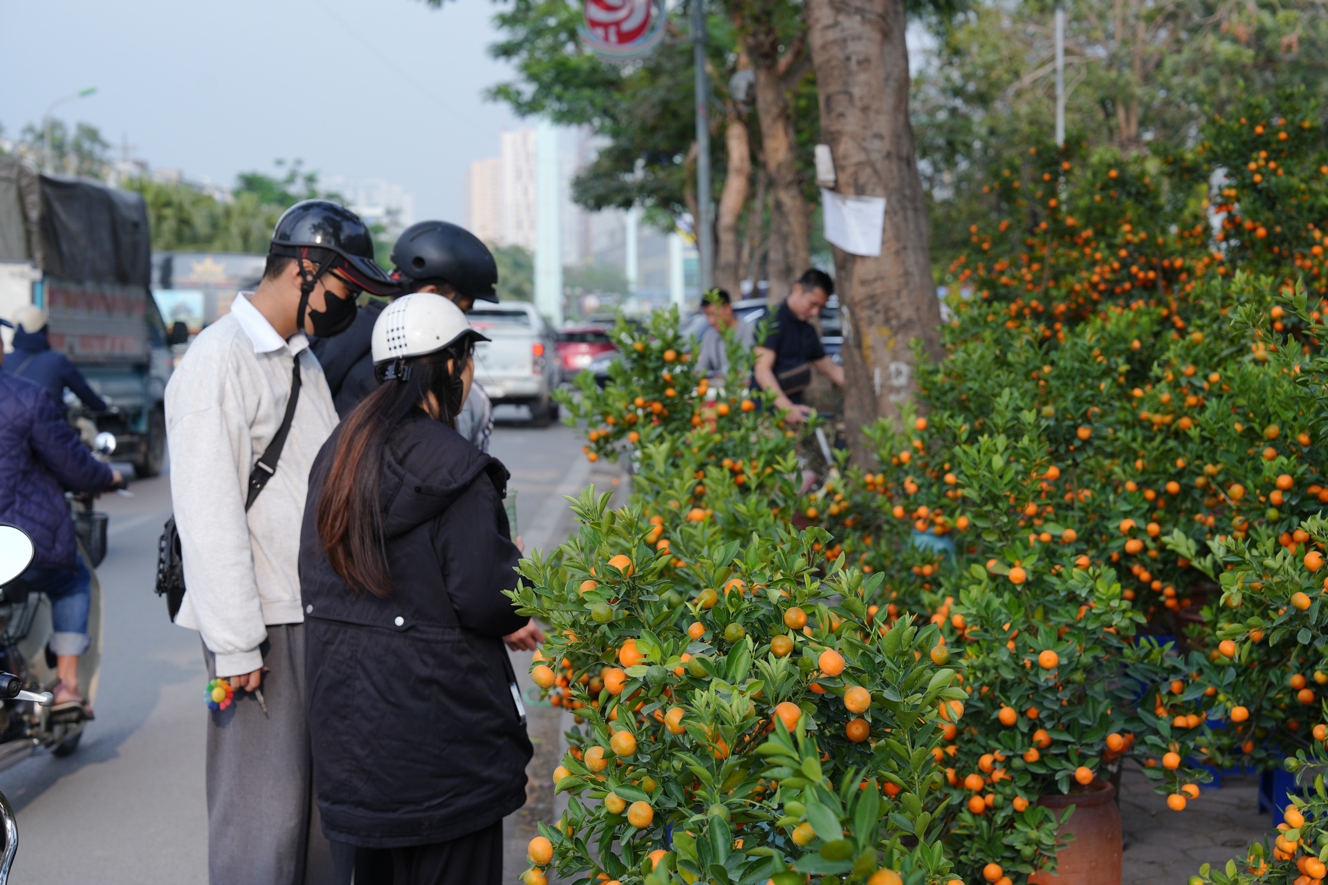 Chợ hoa xuân nhộn nhịp những ngày cận Tết