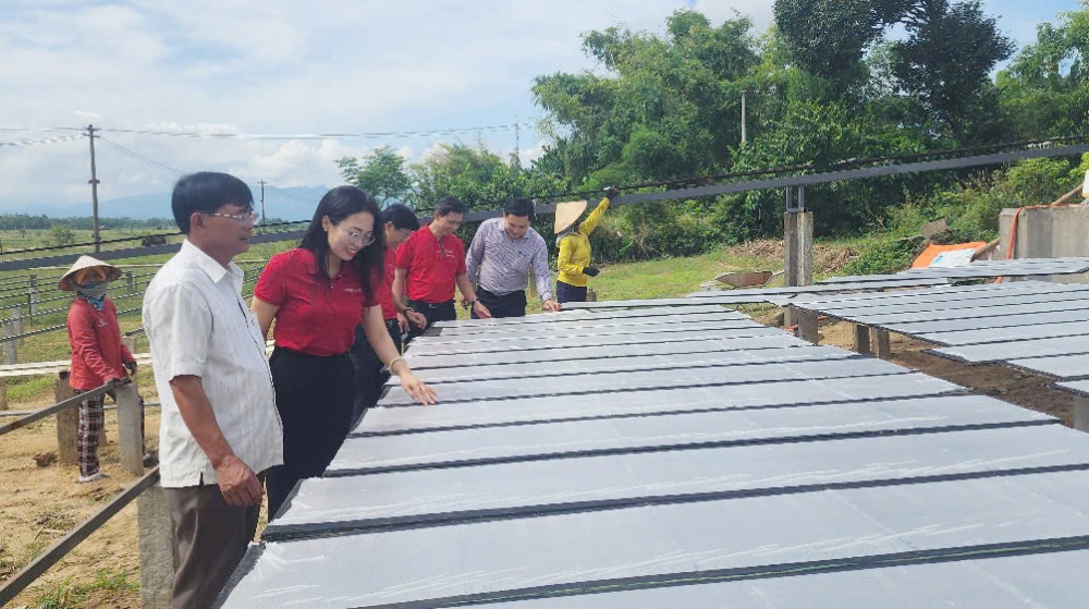 Nhu cầu vay vốn của các HTX, tổ hợp tác, cơ sở sản xuất ở Quảng Nam tương đối cao.