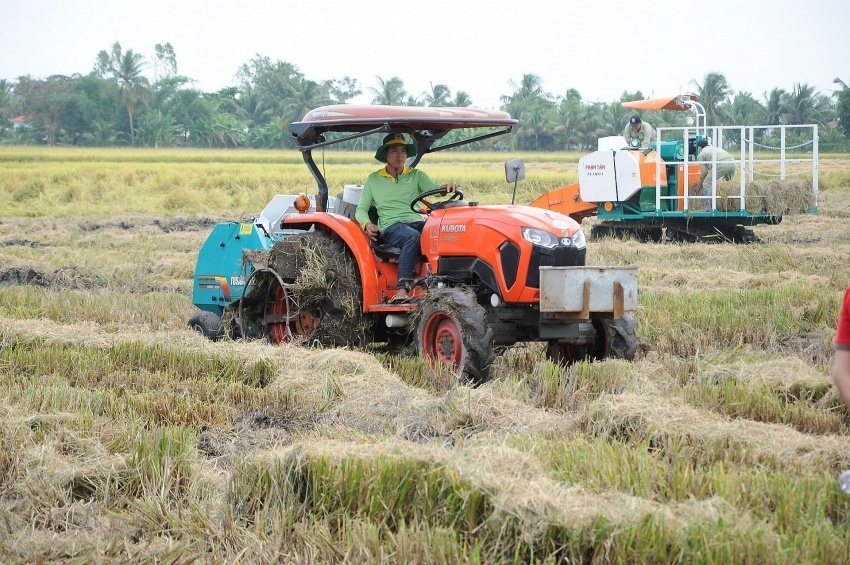 Chủ động cung ứng vốn tín dụng cho sản xuất, chế biến và xuất khẩu gạo vùng ĐBSCL