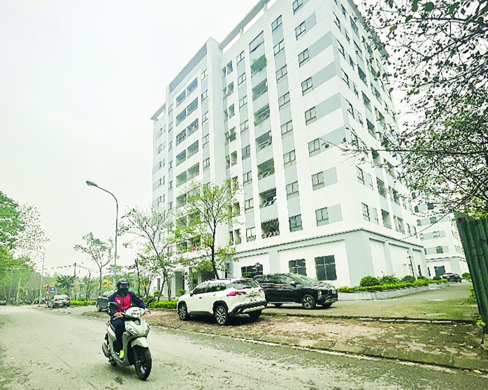 Nguồn cung về nhà ở xã hội hạn chế trong khi nhu cầu của người dân về loại hình nhà ở này rất lớn Nguồn cung về nhà ở xã hội hạn chế trong khi nhu cầu của người dân về loại hình nhà ở này rất lớn