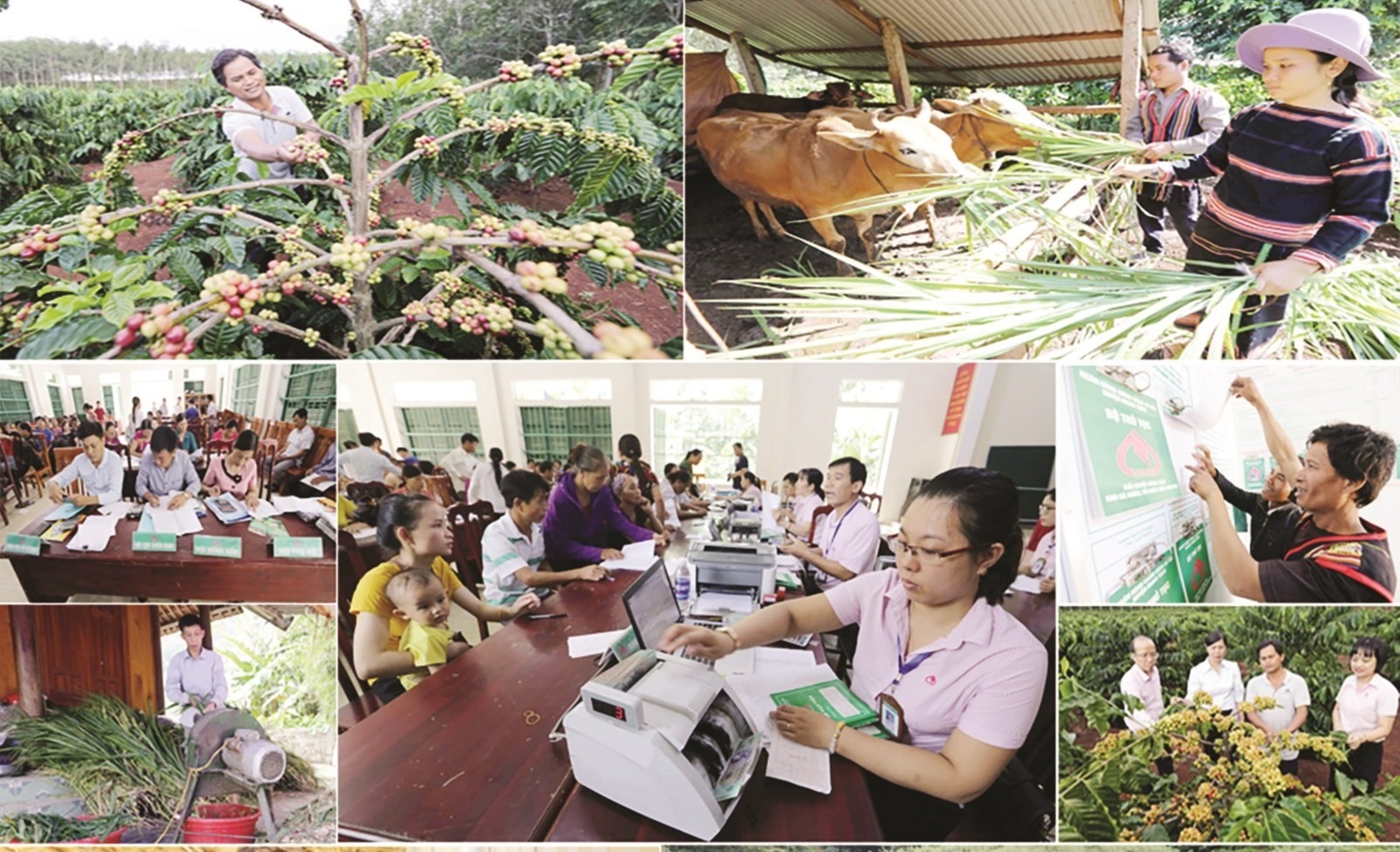 NHCSXH ngày càng được hoàn thiện và phù hợp với yêu cầu nhiệm vụ mới