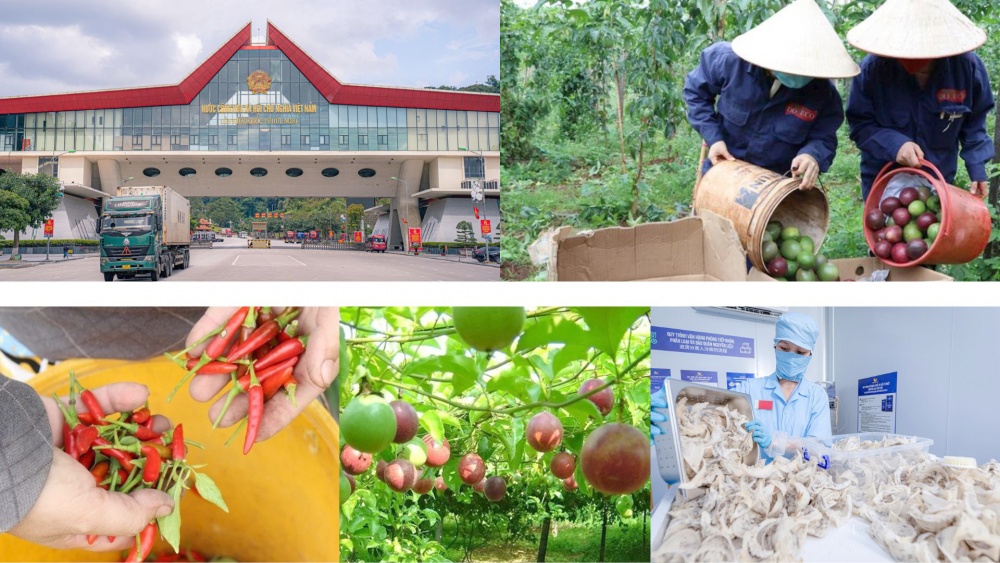 Ớt, chanh leo, tổ yến của Việt Nam sẽ được xuất khẩu chính ngạch sang Trung Quốc 