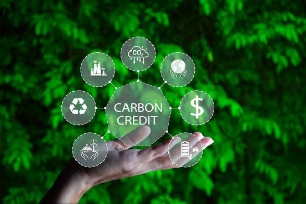 Hoàn thiện pháp luật về tài sản bảo đảm là tài sản số, tín chỉ carbon