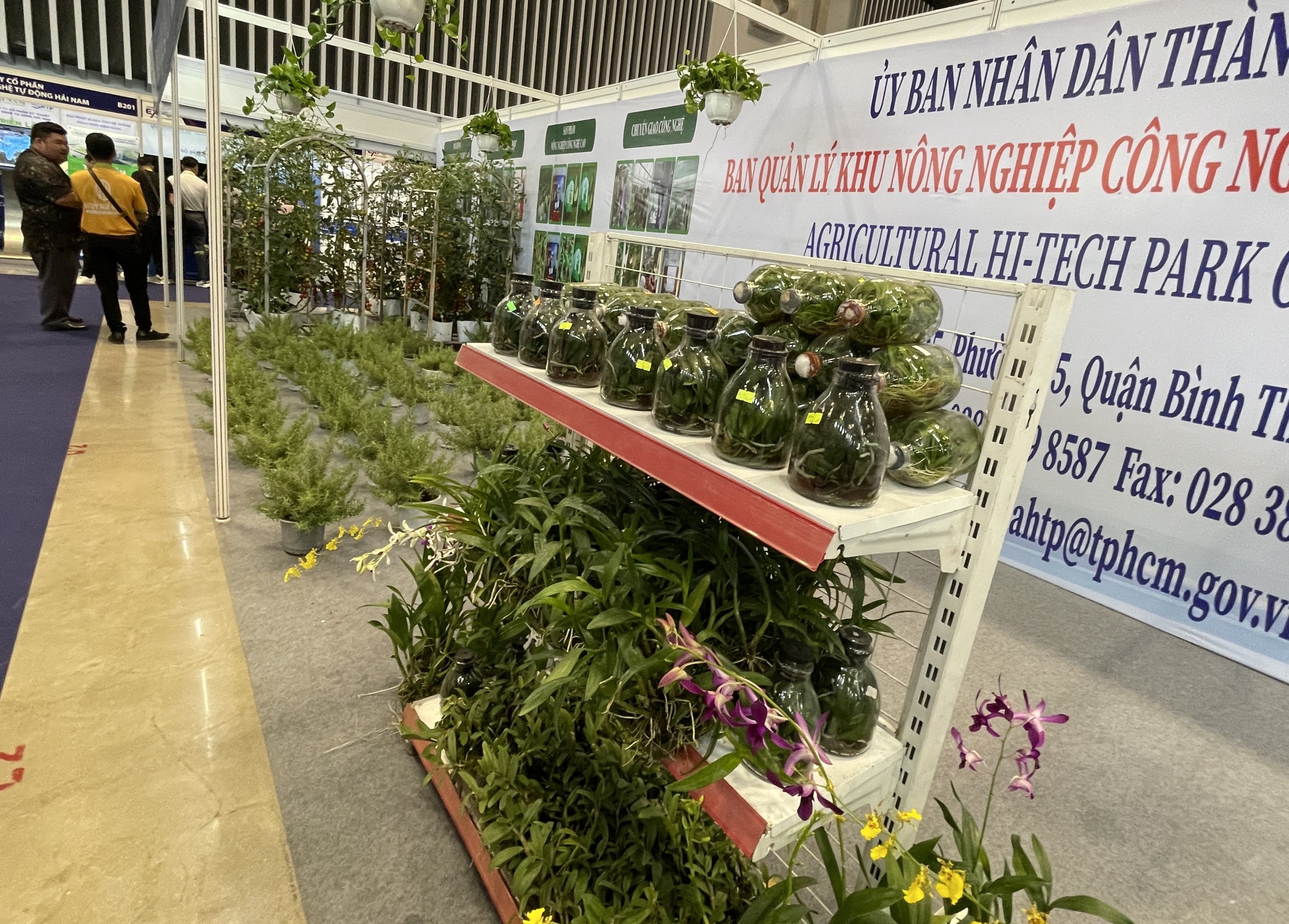 TP. Hồ Chí Minh đẩy mạnh phát triển nông nghiệp công nghệ cao TP. Hồ Chí Minh đẩy mạnh phát triển nông nghiệp công nghệ cao