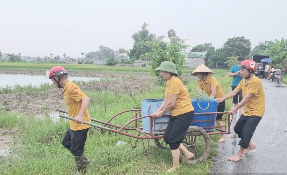 Giống cá trắm đen thực hiện dự án được chọn từ cơ sở ươm giống có uy tín. Ảnh: D V Giống cá trắm đen thực hiện dự án được chọn từ cơ sở ươm giống có uy tín. Ảnh: D V