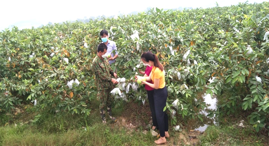 Khoa học công nghệ mở đường cho nông sản Bắc Trung Bộ bứt phá Khoa học công nghệ mở đường cho nông sản Bắc Trung Bộ bứt phá