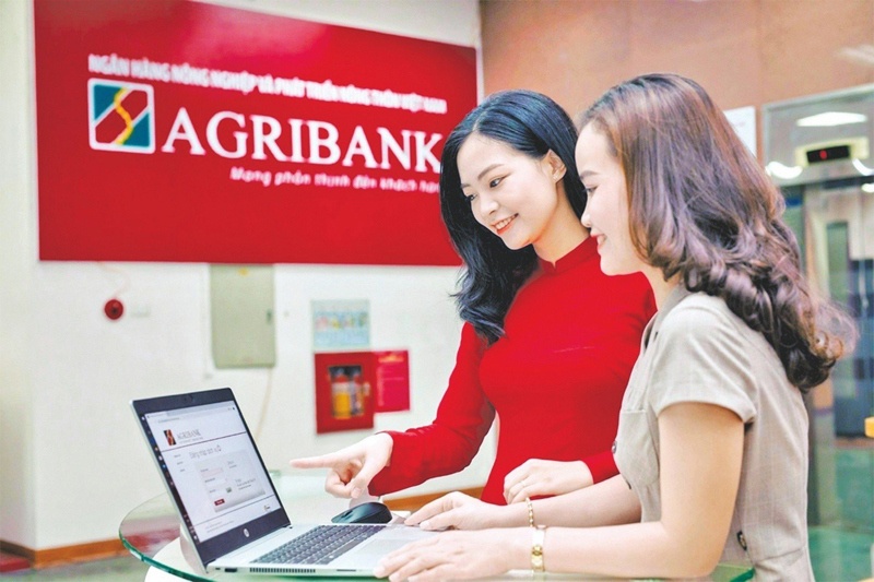 Nhiều giải pháp đồng hành, hỗ trợ hộ kinh doanh