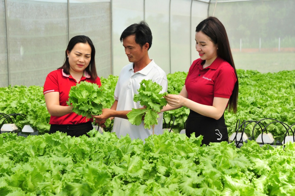 Nguồn vốn Agribank thúc đẩy kinh tế tư nhân phát huy vai trò trụ cột nền kinh tế
