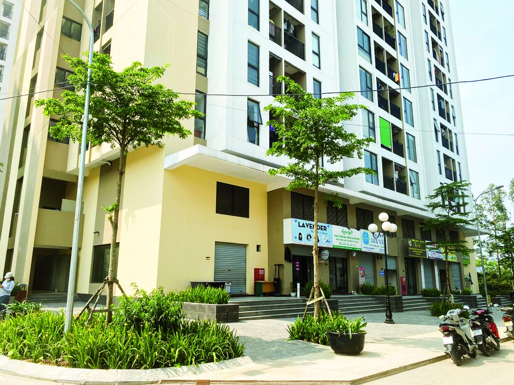 Nhiều người vay vốn ưu đãi mua nhà tại Khu nhà ở xã hội thuộc khu đô thị Green Park, Lạng Sơn Nhiều người vay vốn ưu đãi mua nhà tại Khu nhà ở xã hội thuộc khu đô thị Green Park, Lạng Sơn