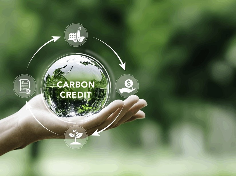 Tín chỉ carbon – Hướng mở cho tài sản bảo đảm và thị trường tài chính xanh tại Việt Nam