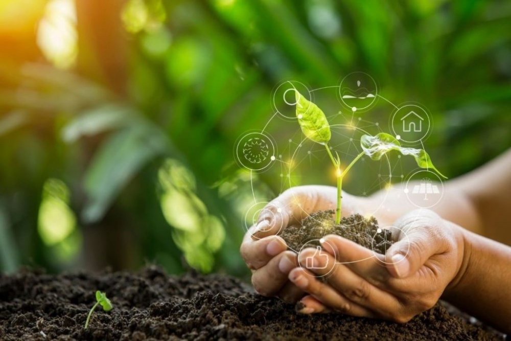 Cơ hội phát triển tài chính xanh tại Việt Nam